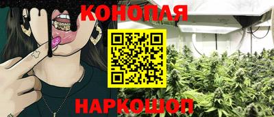 Альфа ПВП Кингисепп