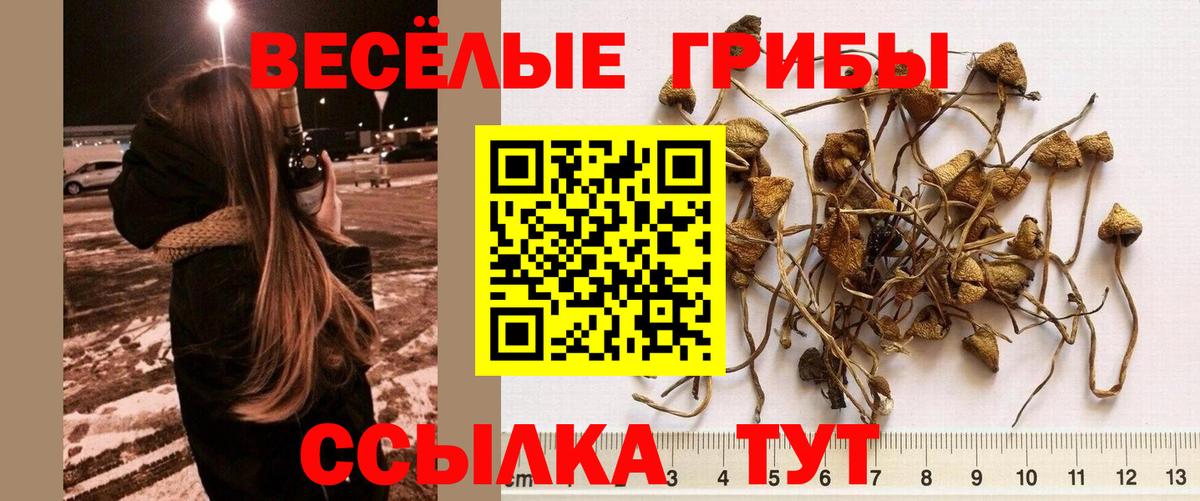 Галлюциногенные грибы ЛСД Камышлов
