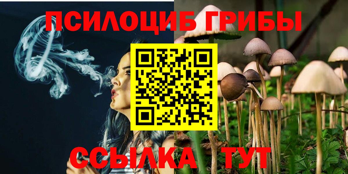 Галлюциногенные грибы MAGIC MUSHROOMS  Псилоцибиновые грибы Magic Shrooms  Камышлов  Вход с VPN 